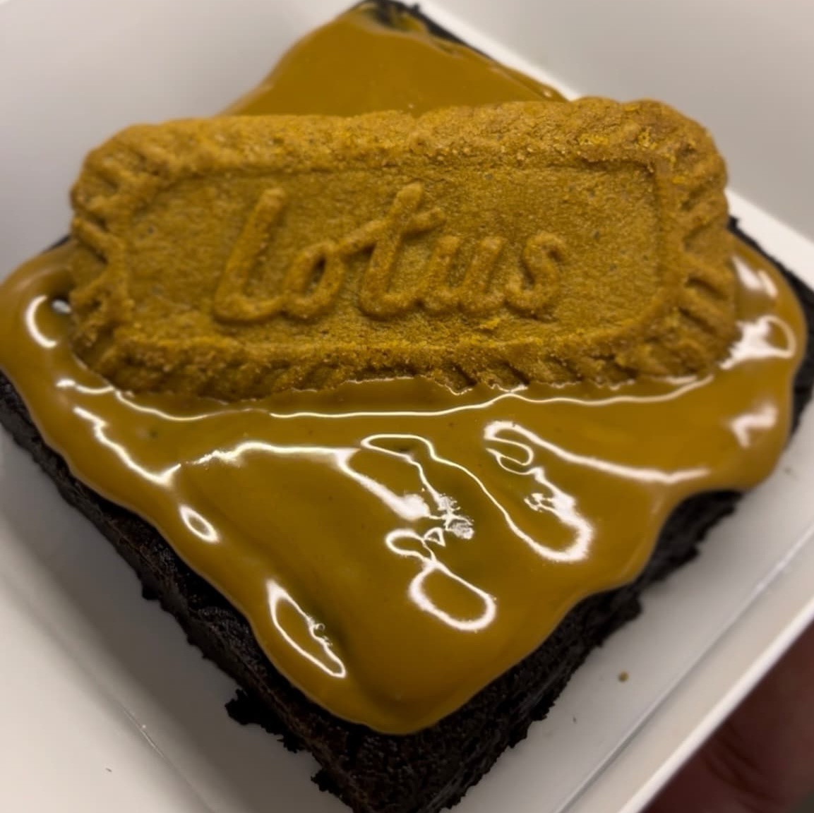 Brownies in Chandigarh